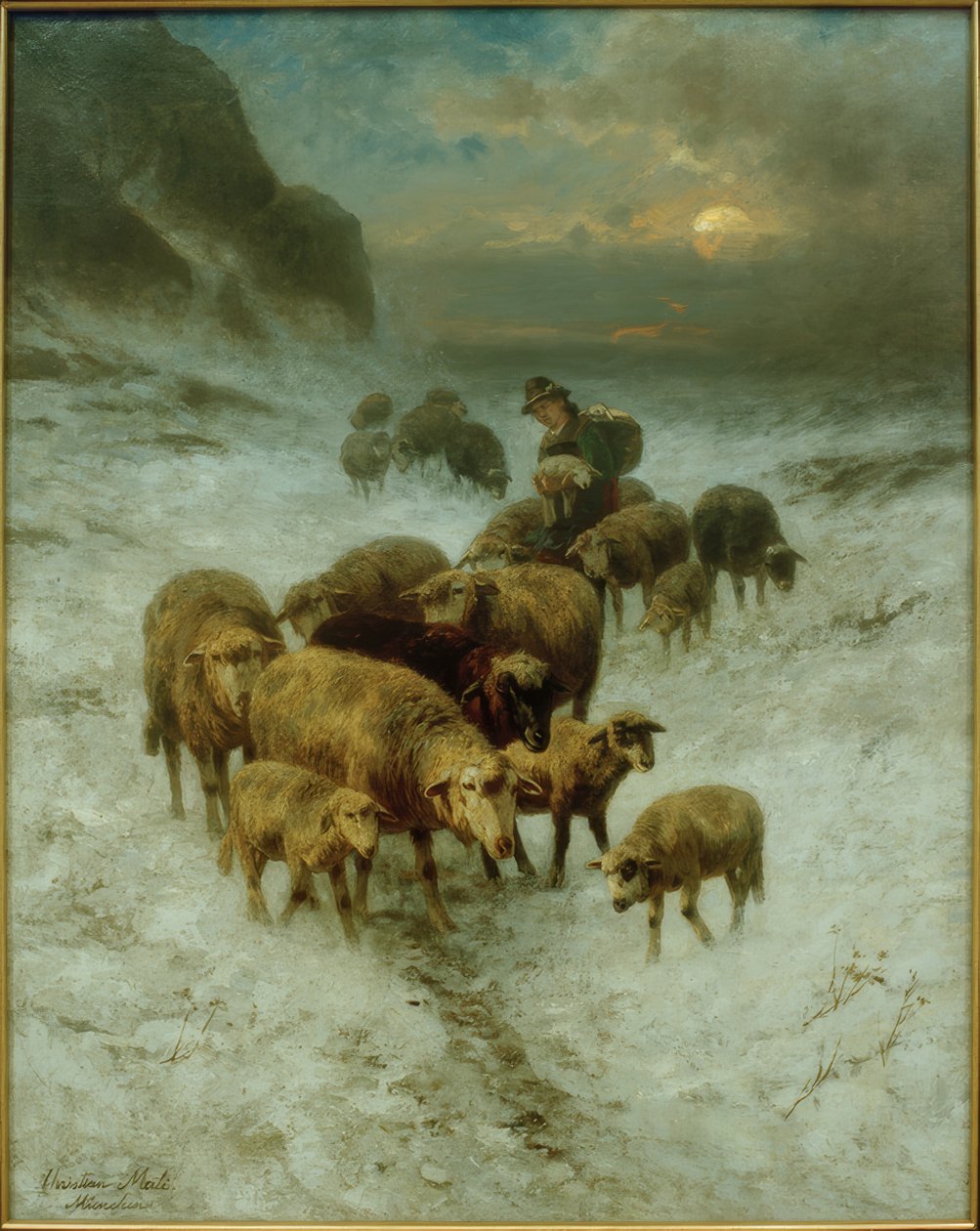 Retour du troupeau de moutons - Christian Mali