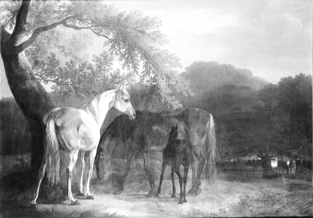 Chevaux dans une région boisée - Christian David Gebauer