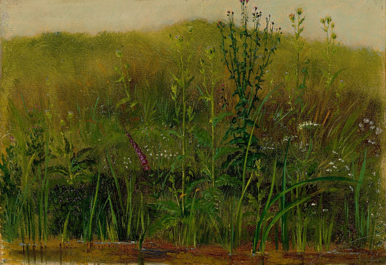 Plantes sur la berge - Christian Friedrich Gille
