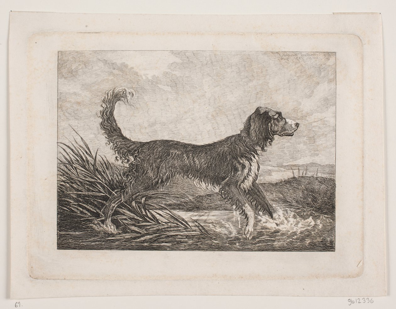 Un chien - Christian Holm