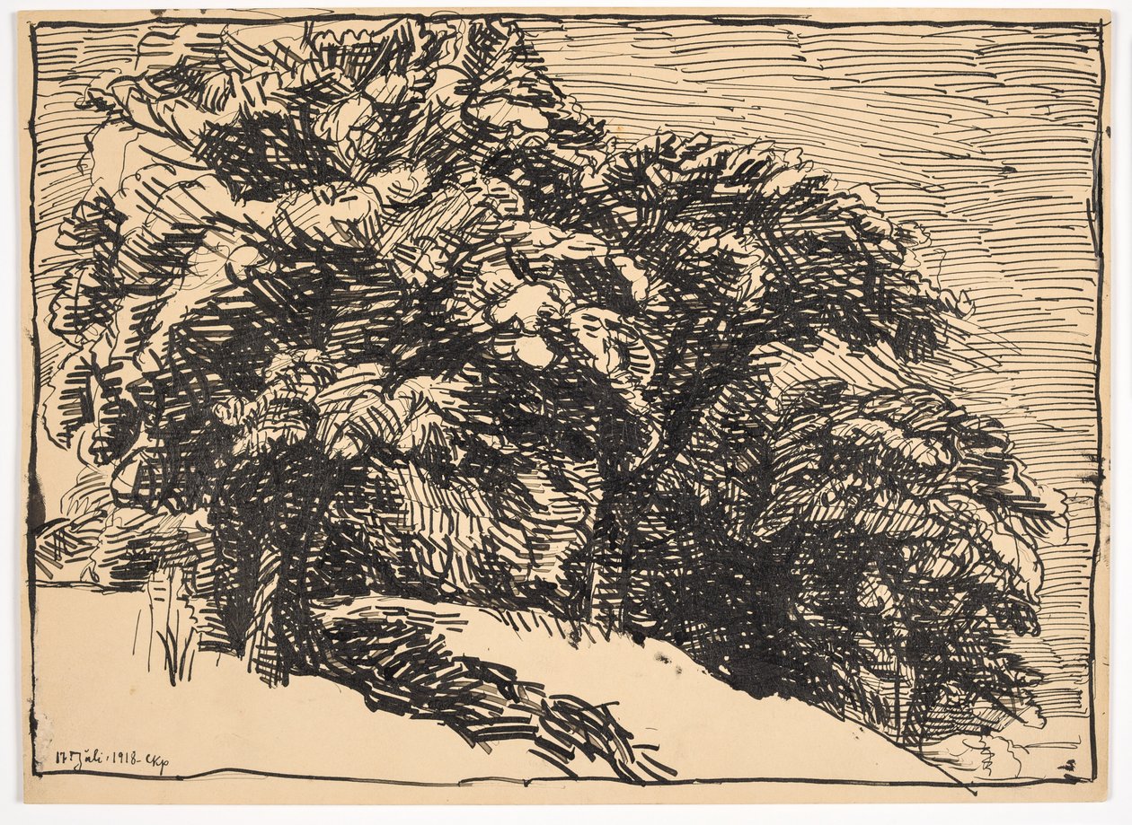 Chênes sur une berge - Christian Kongstad Petersen