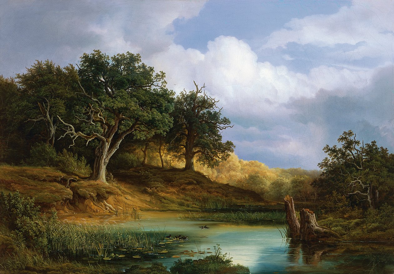 Chênes au bord de l