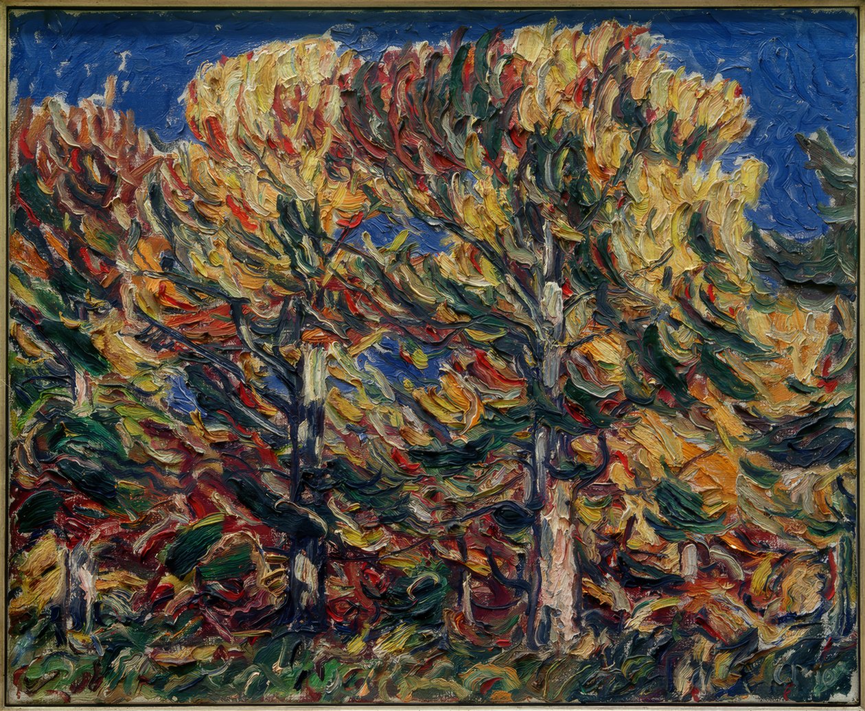 Forêt d