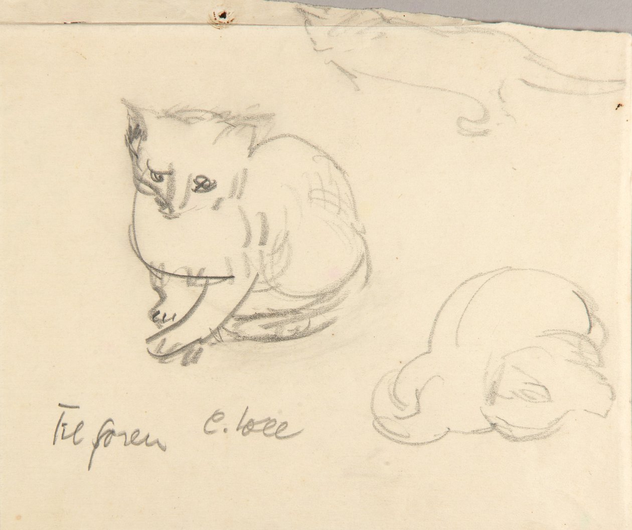 Chats - Christoph Voll