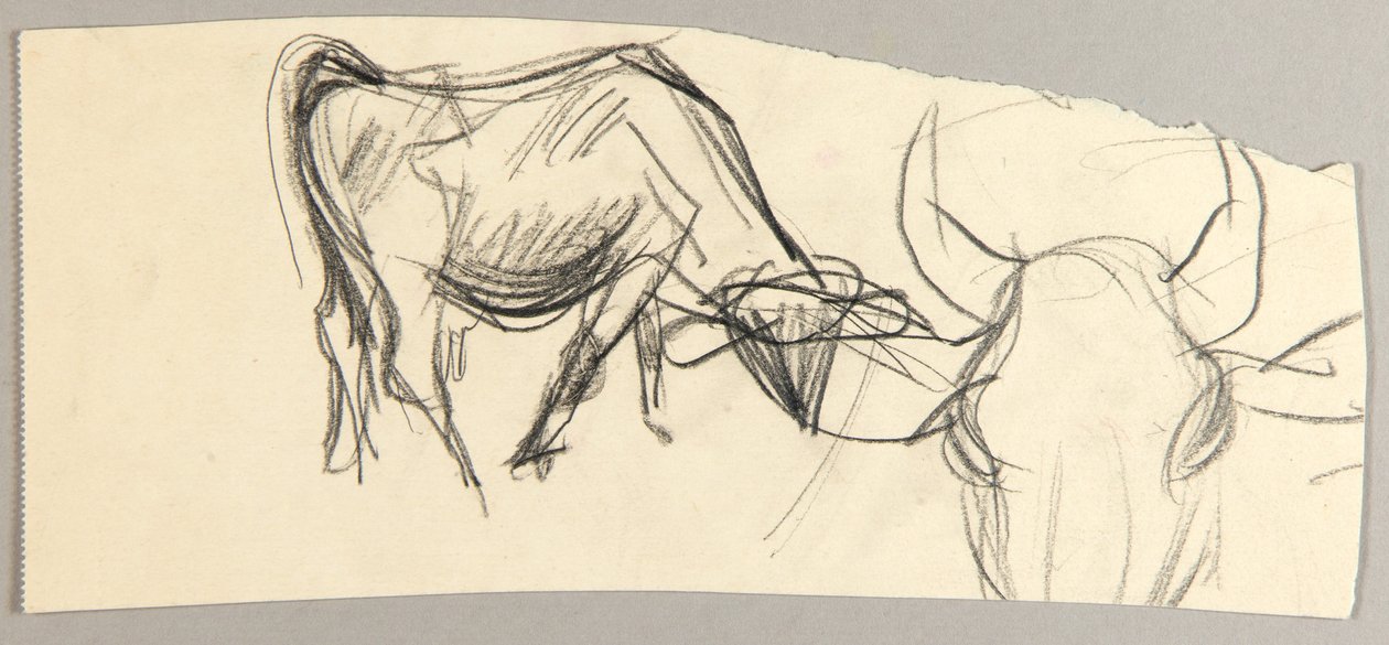 Bœufs - Christoph Voll