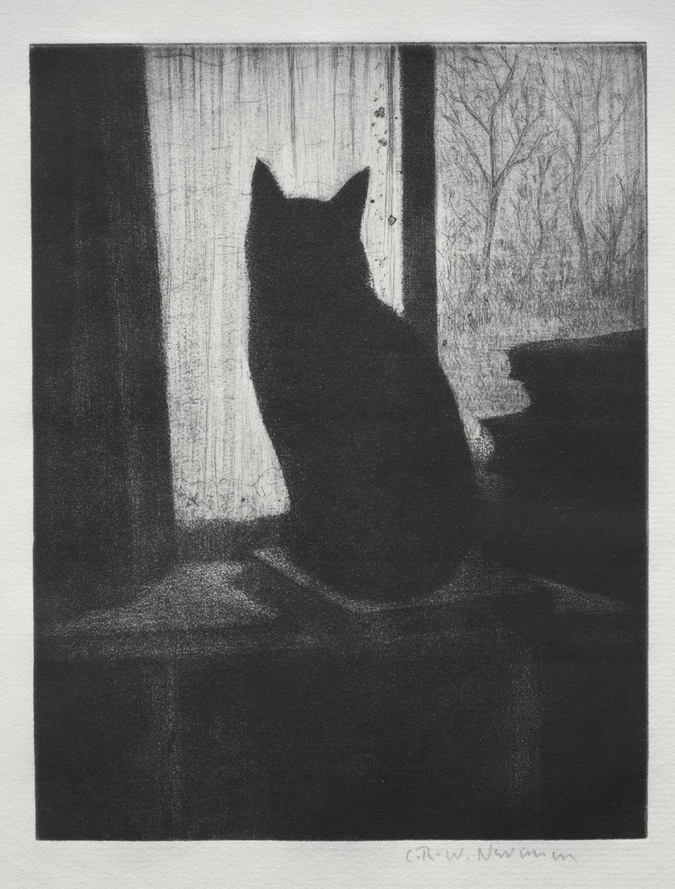 Le Chat - Christopher Richard Wynne Nevinson