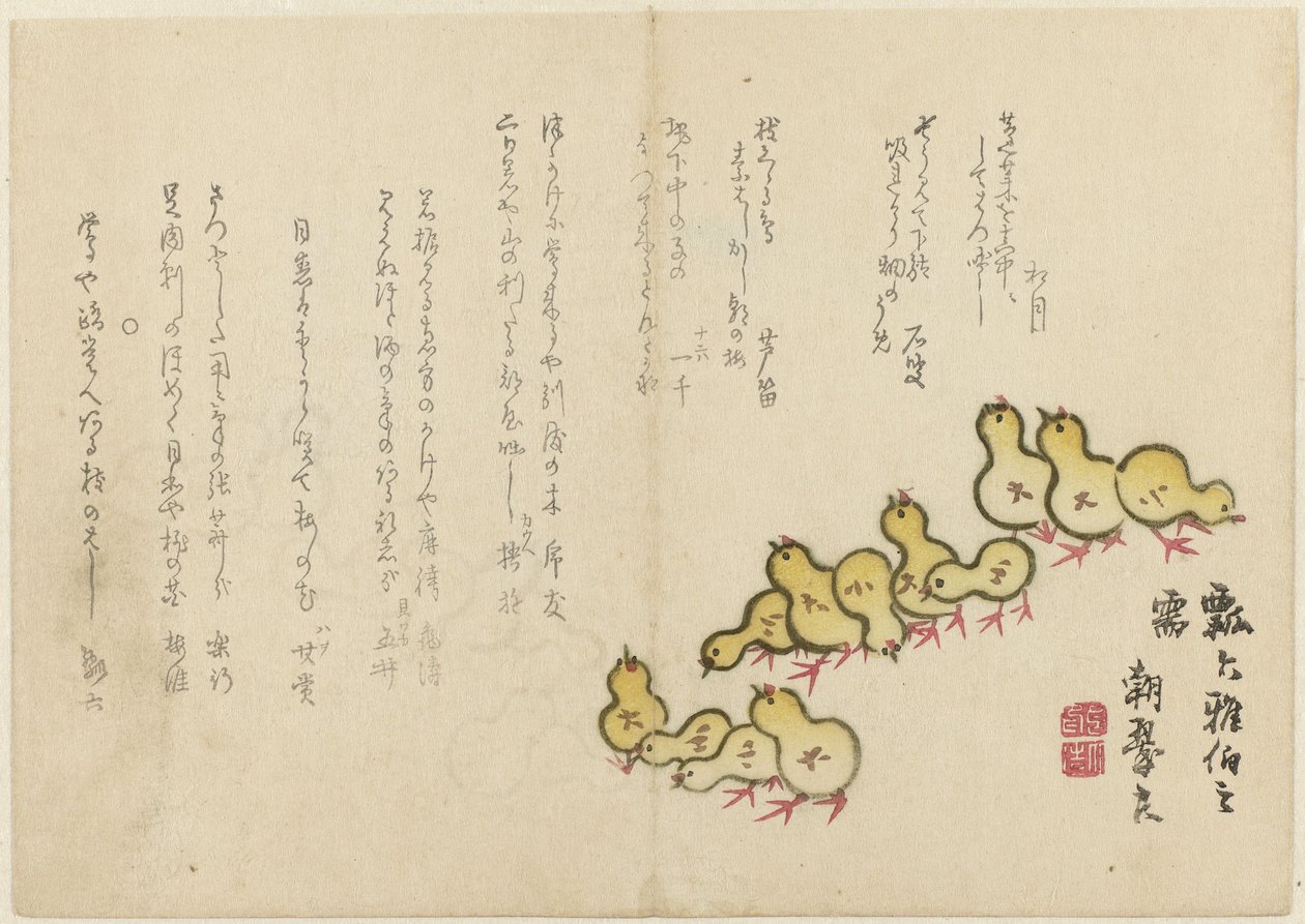Poussins - Chôsui