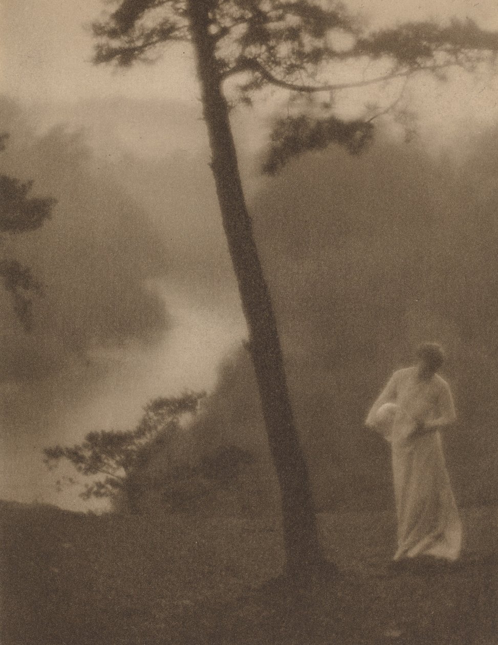 Matin - Clarence H. White