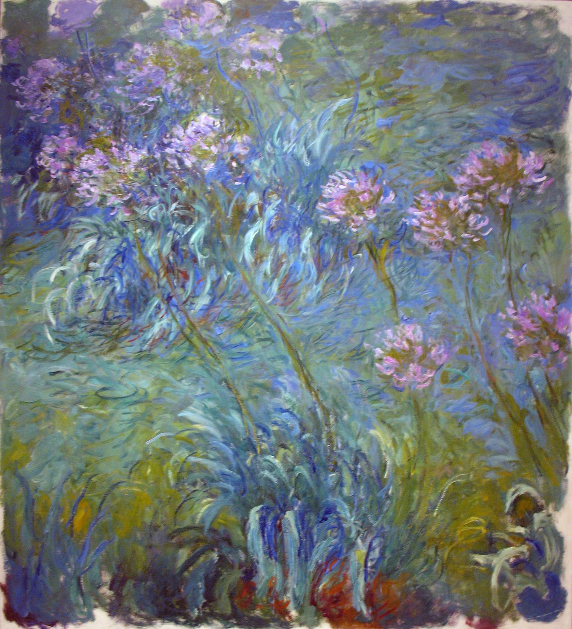 Agapanthes - Claude Monet