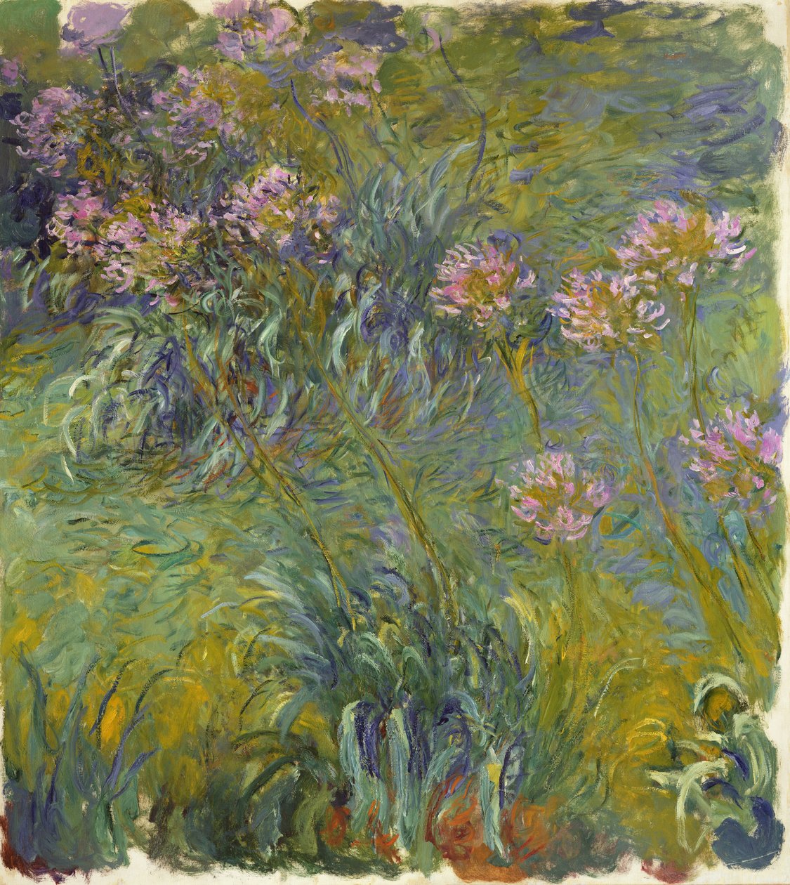 Agapanthus - Claude Monet