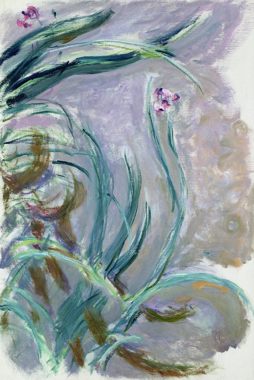 Iris, 1924-25 - Claude Monet