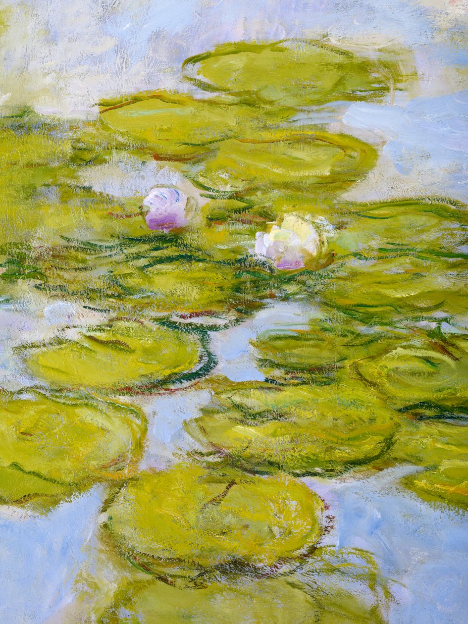 Nymphéas, 1916-19 (détail) - Claude Monet
