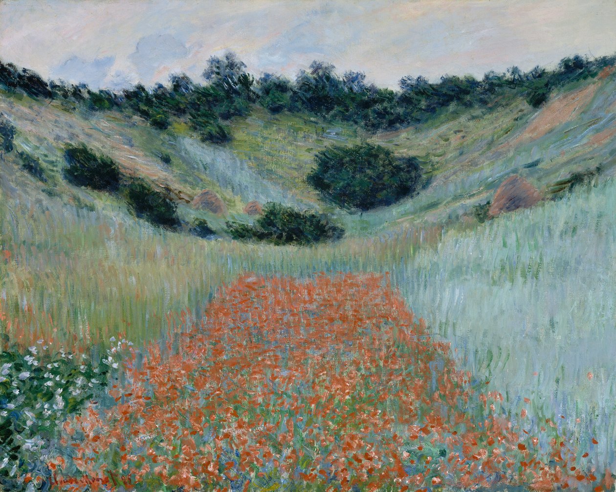 Champ de coquelicots dans un creux près de Giverny - Claude Monet