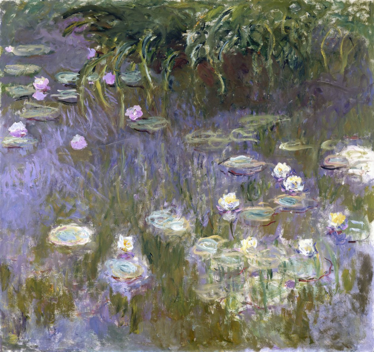 Nymphéas - Claude Monet