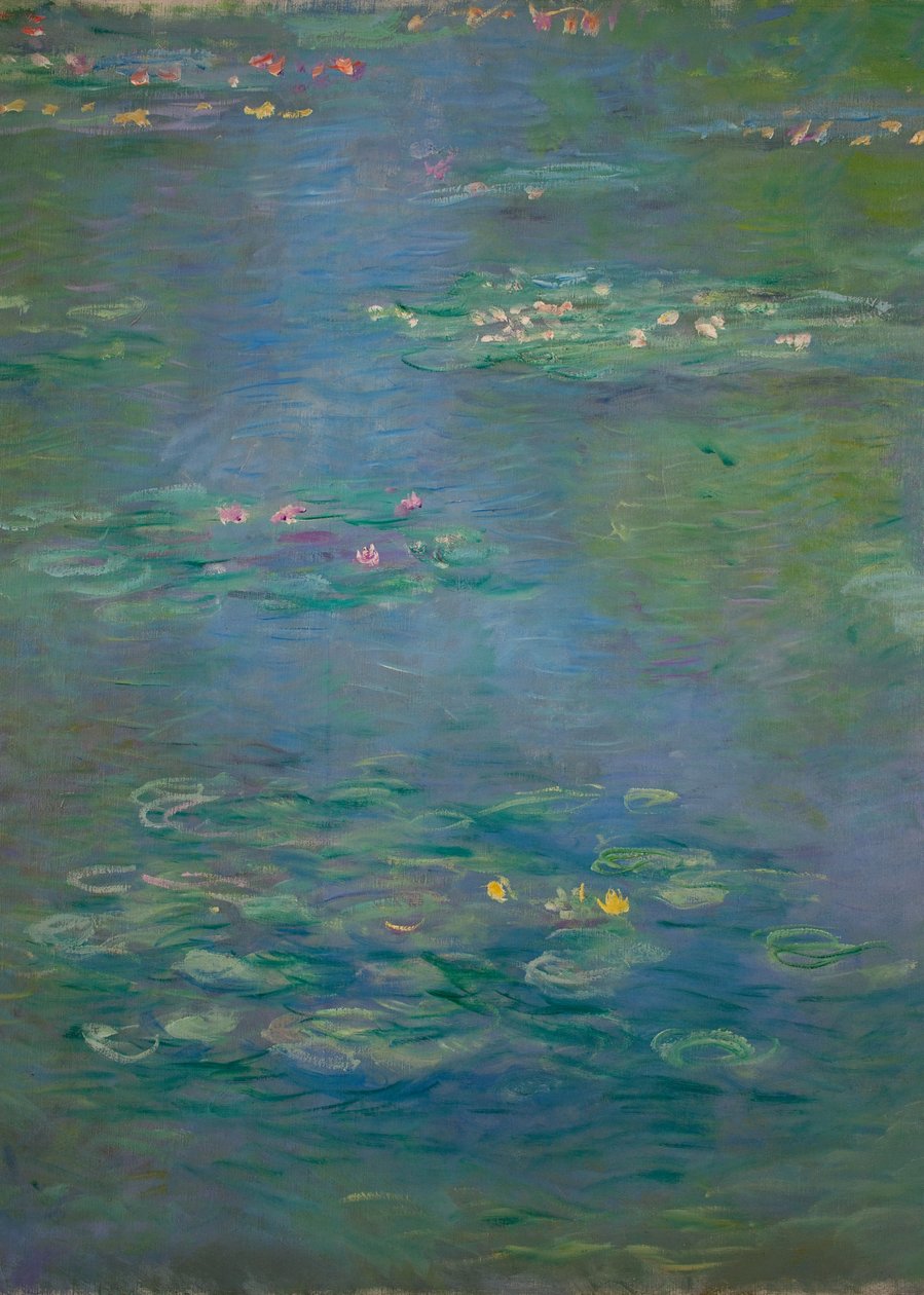 Nénuphars, détail, 1903 - Claude Monet
