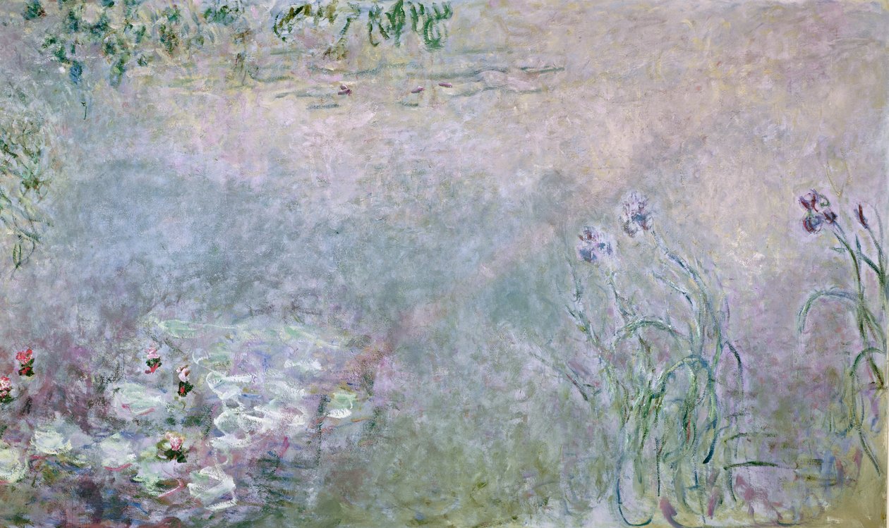 Nénuphars (détail) - Claude Monet