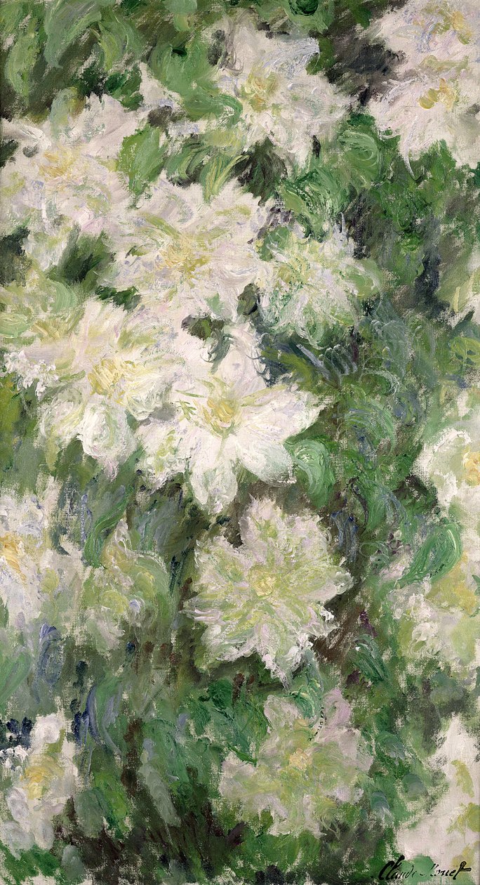 Clématite blanche, 1887 - Claude Monet