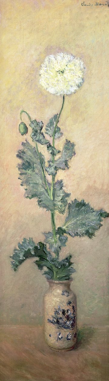 Pavot blanc, 1883 - Claude Monet