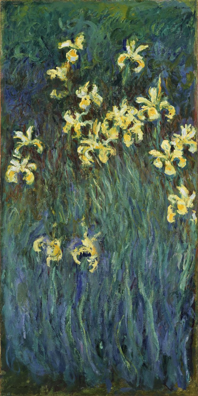 Iris jaunes - Claude Monet