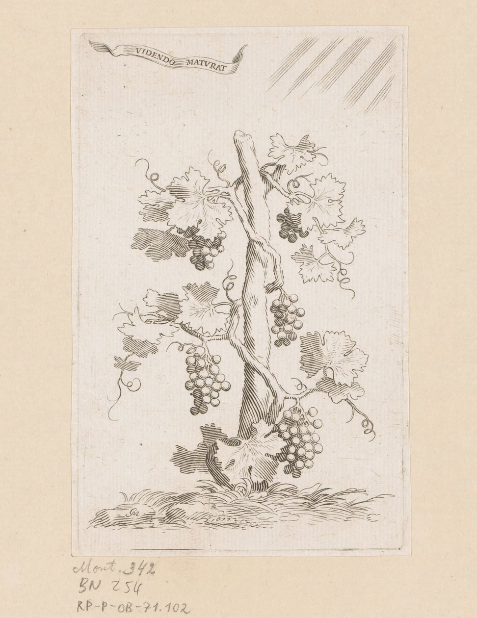 Vigne - Claude Mellan