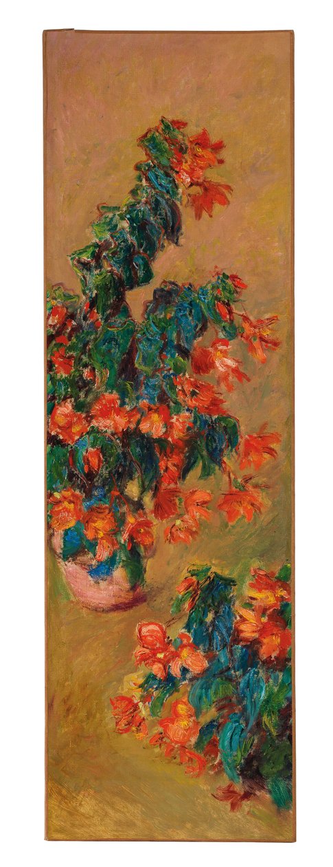 Azalées rouges en pot - Claude Monet