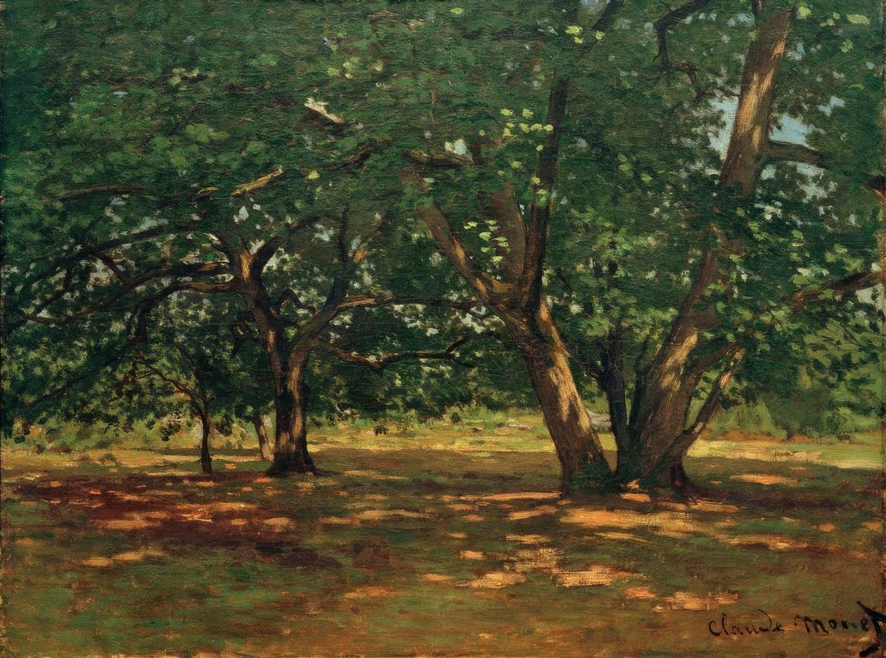 Forêt de Fontainebleau - Claude Monet