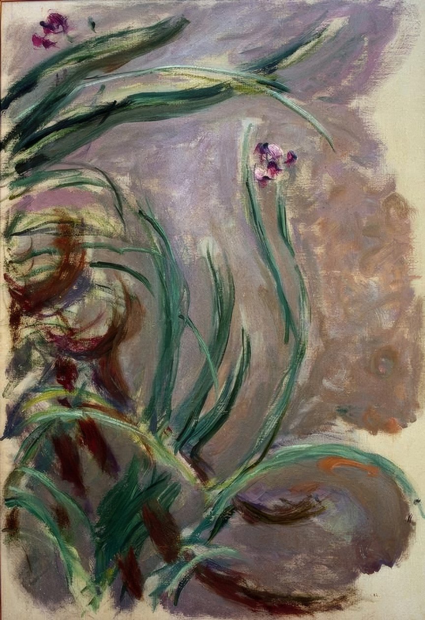 Iris - Claude Monet
