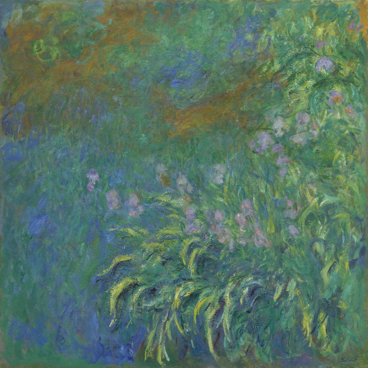 Iris - Claude Monet