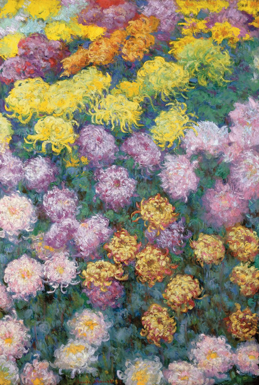 Massif de chrysanthèmes - Claude Monet