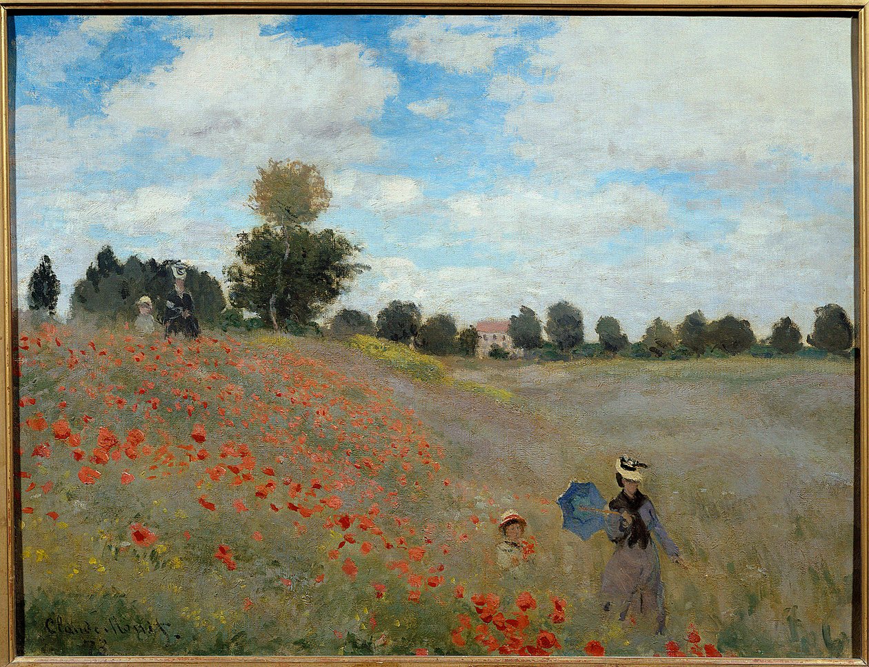Champs de coquelicots près d