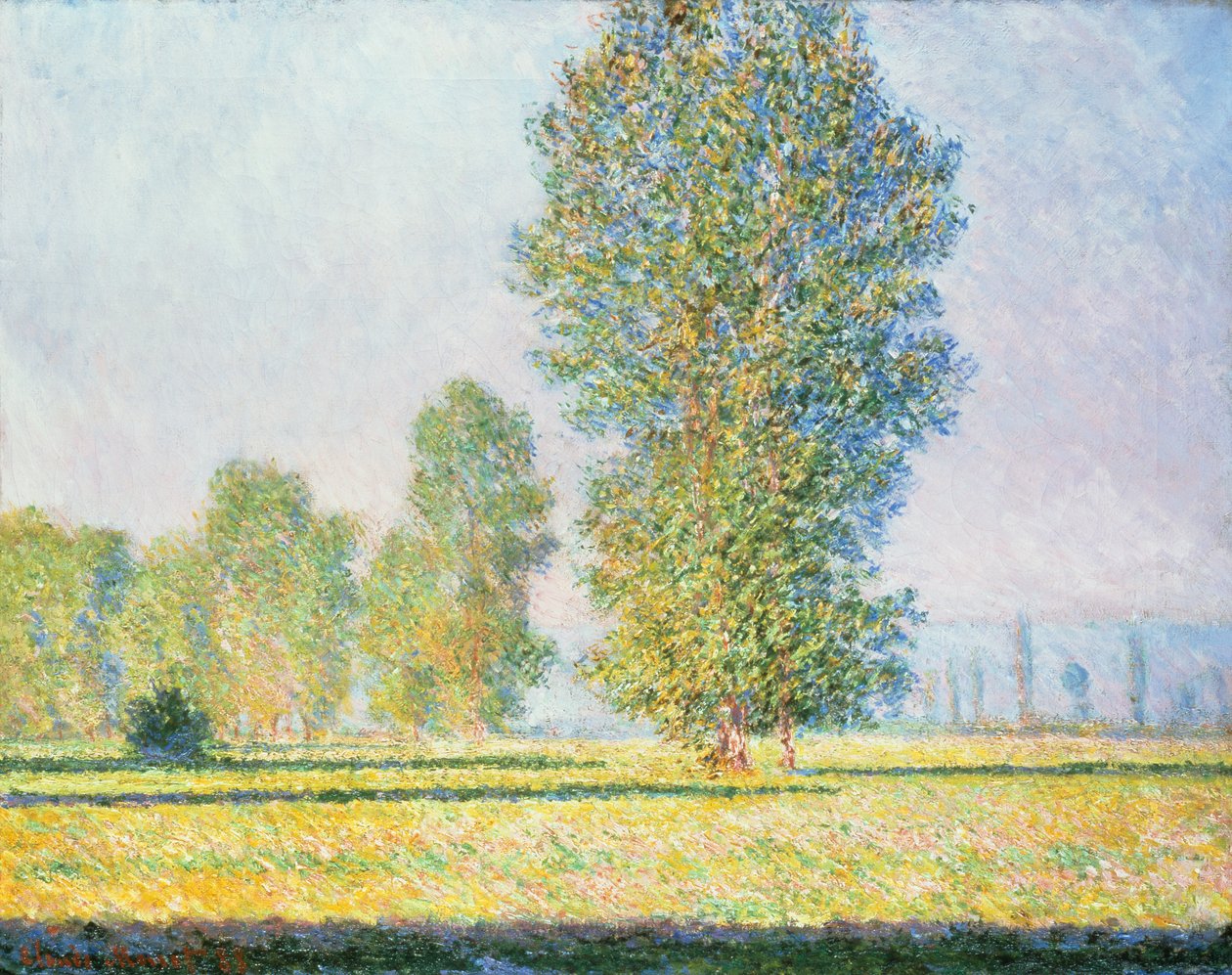 Le pré de Limetz - Claude Monet