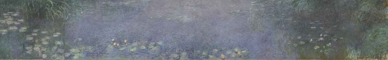 Les Nymphéas - Reflets d