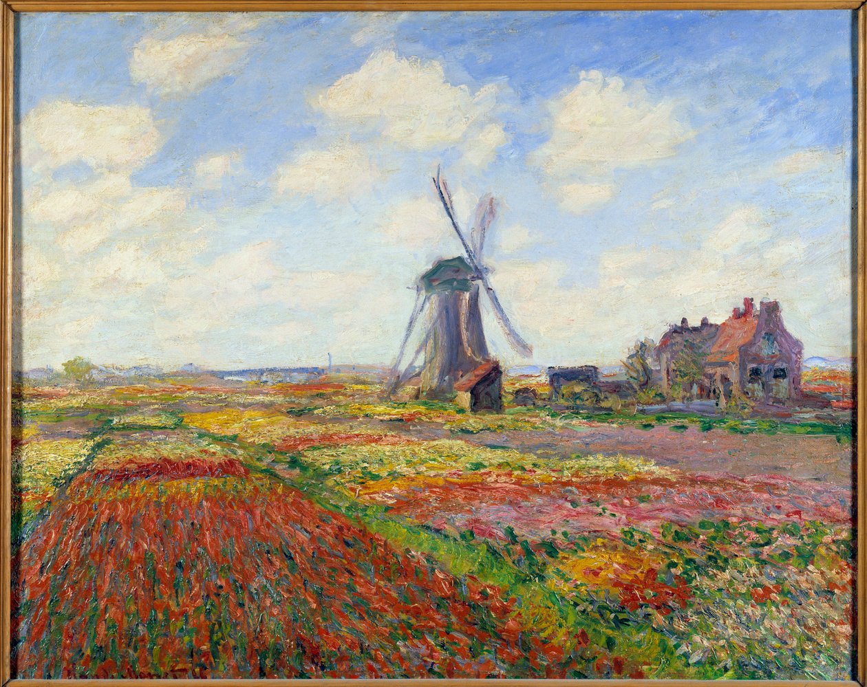 Champs de tulipes en Hollande (avec un moulin) - Claude Monet