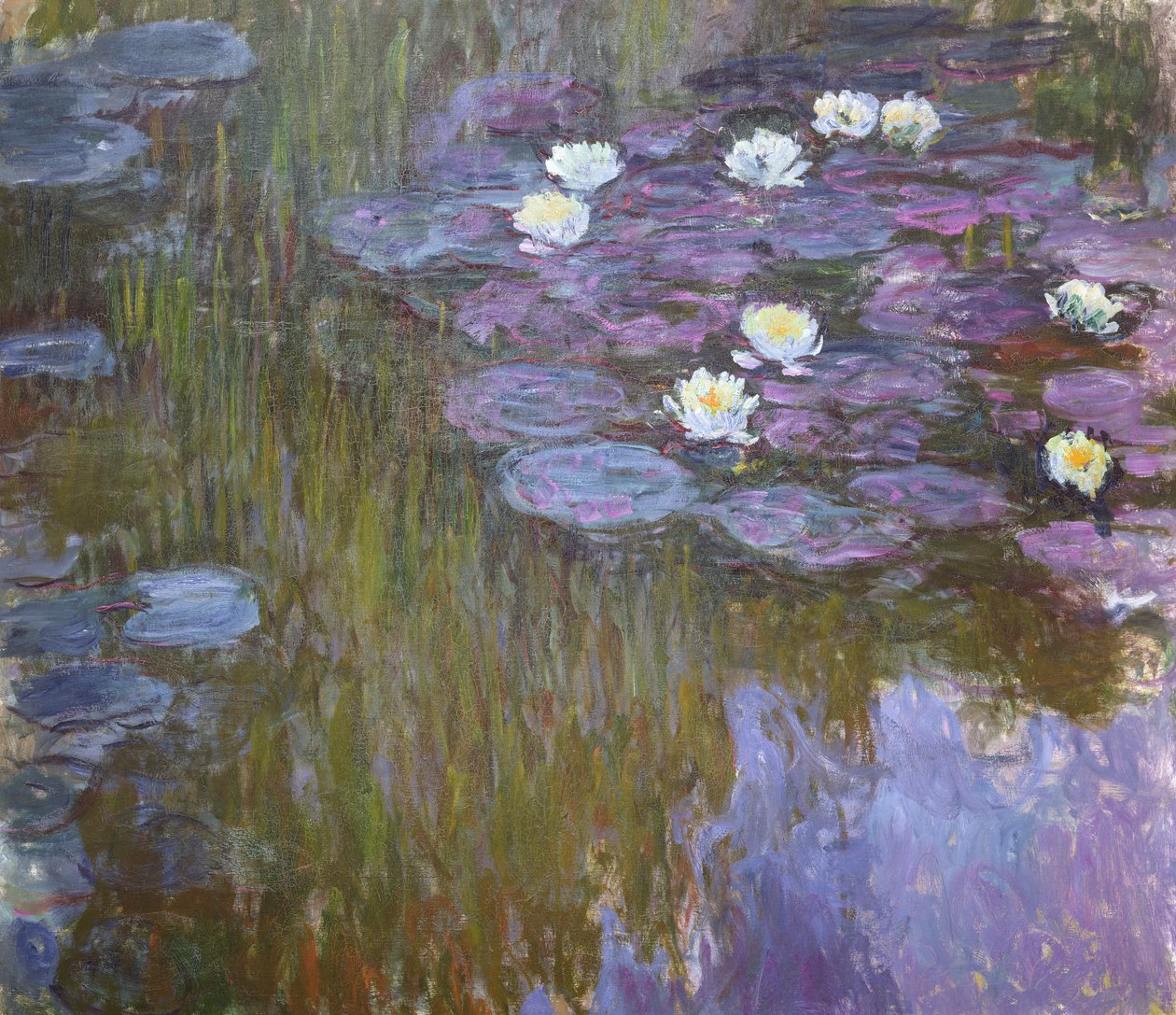 Nénuphars - Claude Monet