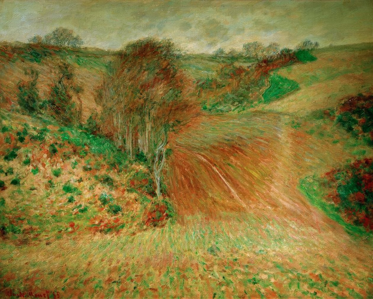 Paysage d
