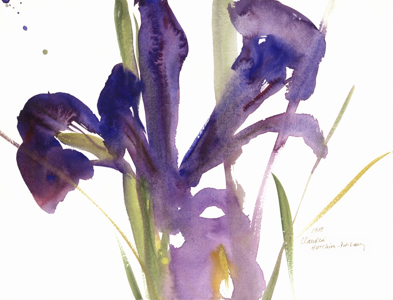 Iris, 1987 - Claudia Hutchins Puechavy