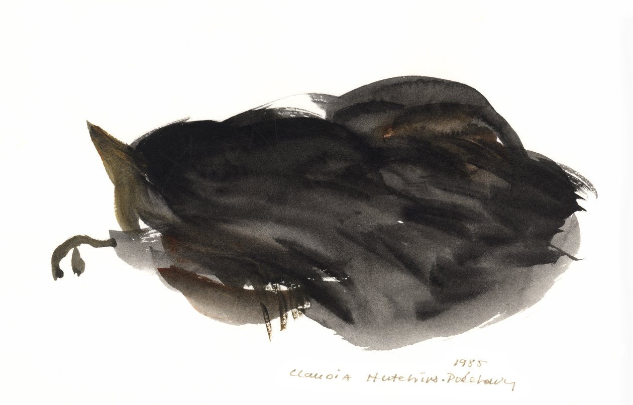 Chat endormi, 1985 - Claudia Hutchins Puechavy