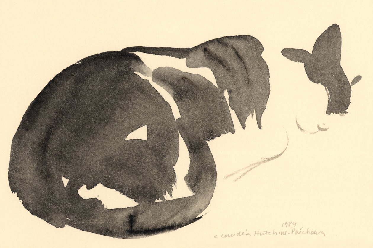 Chat endormi, 1984 - Claudia Hutchins Puechavy