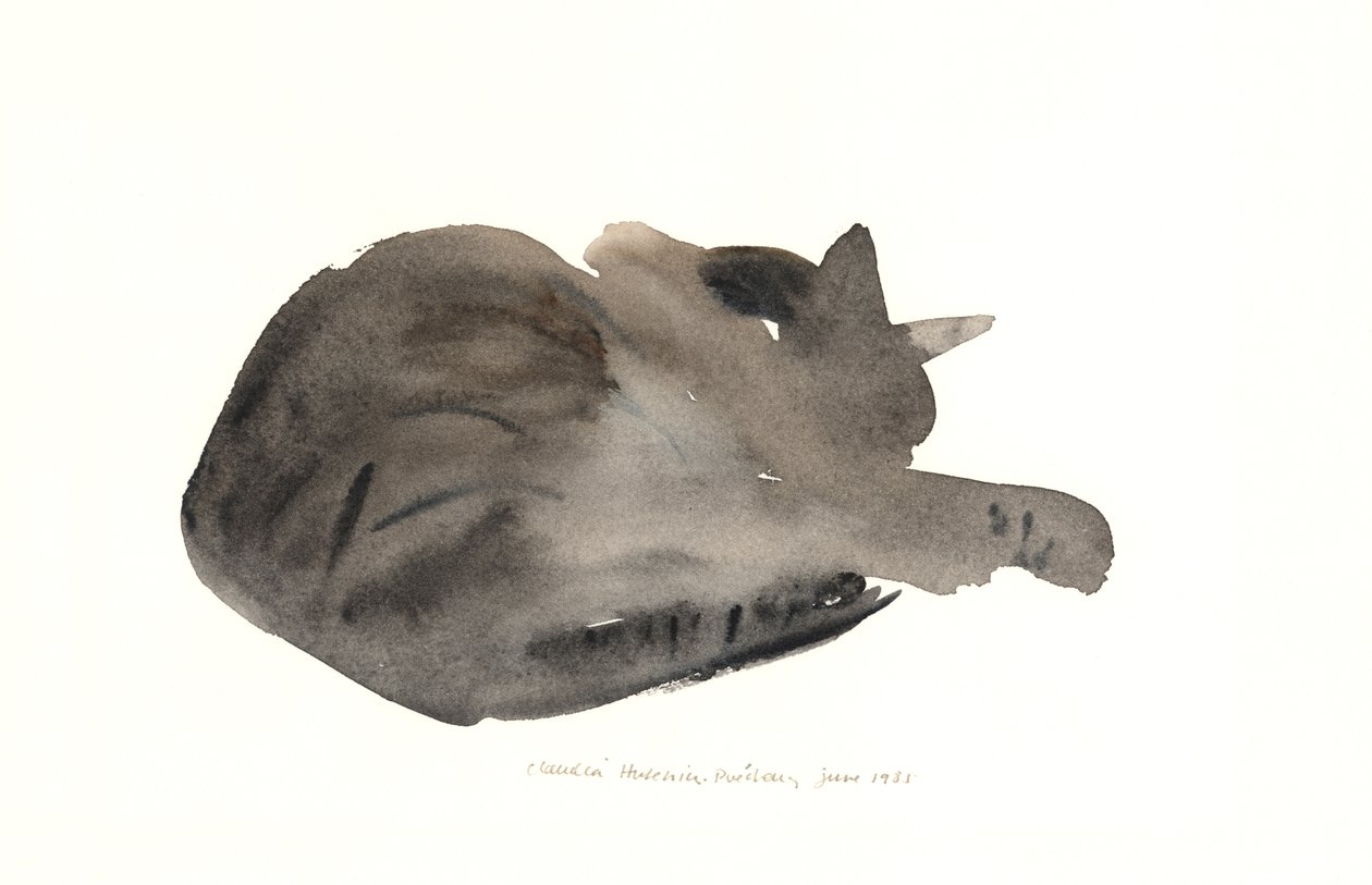 Chat endormi, 1985 - Claudia Hutchins Puechavy