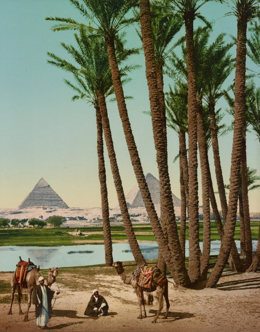 Palmiers, Bédouins et Pyramides, Le Caire, Égypte - Company Photoglob