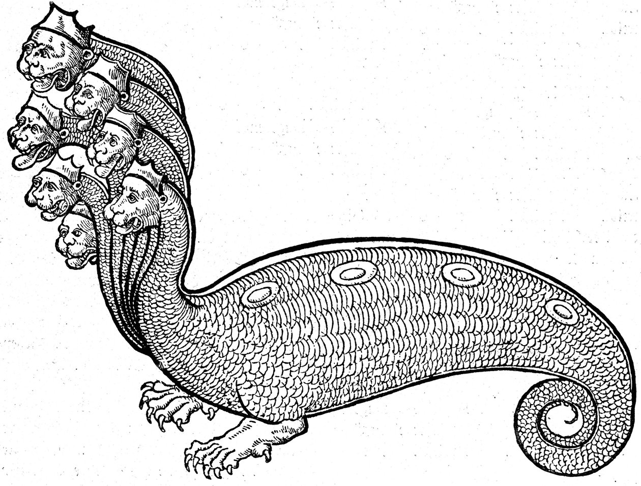 Monstre Hydra - Conrad (after) Gesner