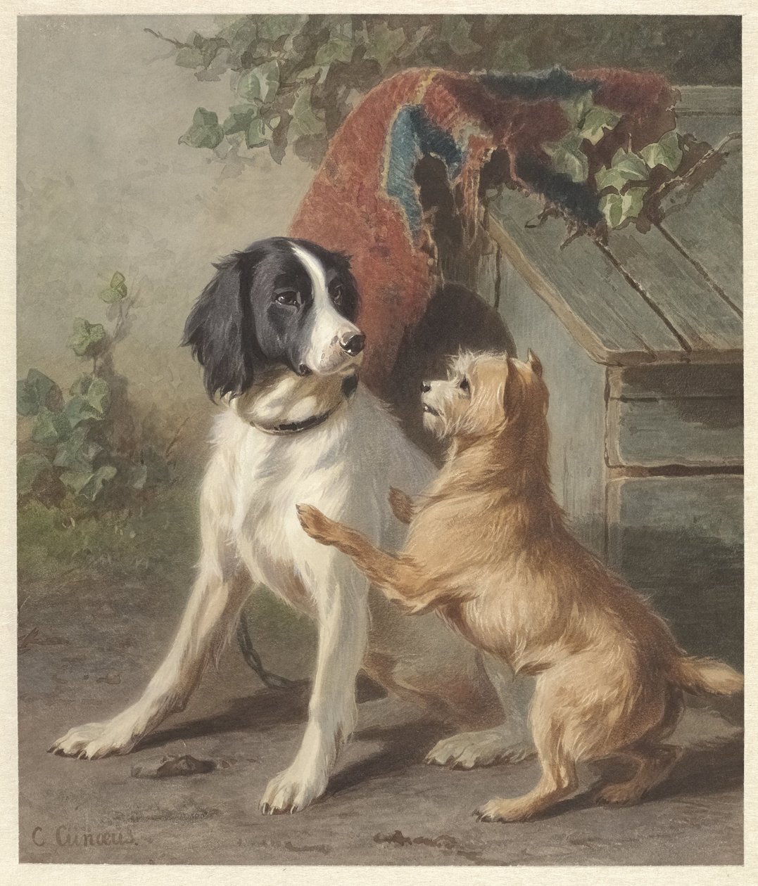 Deux chiens près d