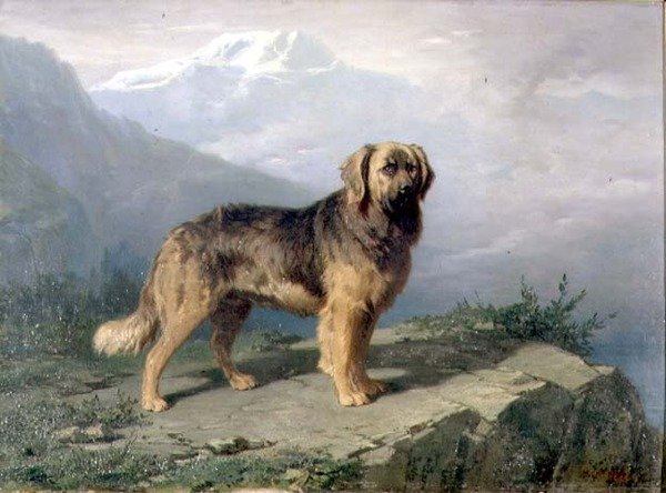 Un Mastiff dans un paysage alpin - Conradyn Cunaeus
