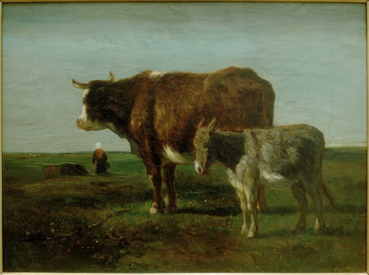 Vache avec âne - Constant Troyon