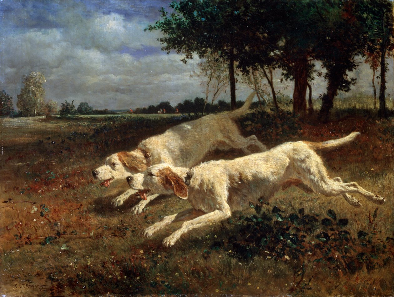 Chiens courant, 1853 - Constant Troyon