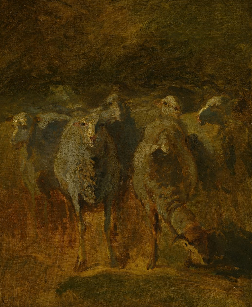 Étude Inachevée de Moutons, c. 1850 - Constant Troyon