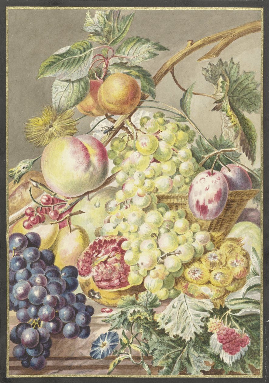 Nature morte avec fruits - Cornelis Ploos van Amstel