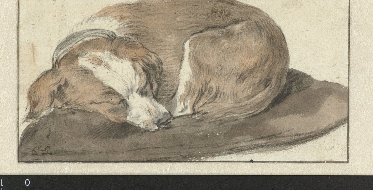 Chien dormant - Cornelis Saftleven