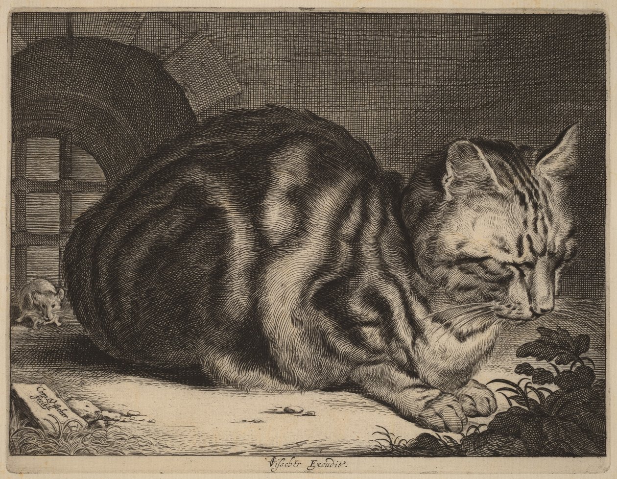 Le Grand Chat - Cornelis Visscher