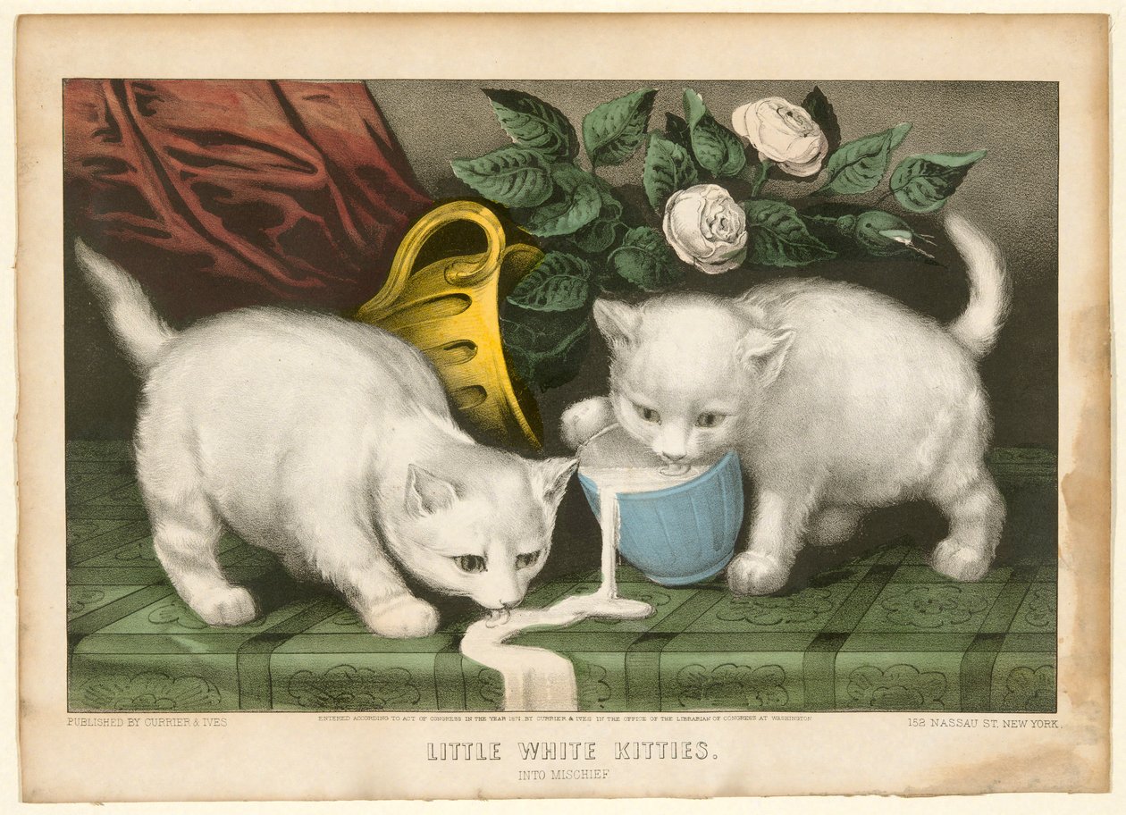 Petits chatons blancs en train de faire des bêtises - Currier and Ives